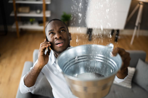 Best Residential water damage restoration  in Paonia, CO