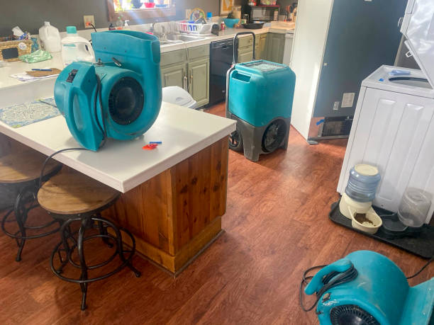 Best Mold removal after water damage  in Paonia, CO
