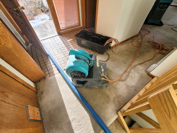  Paonia, CO Water damage restoration Pros