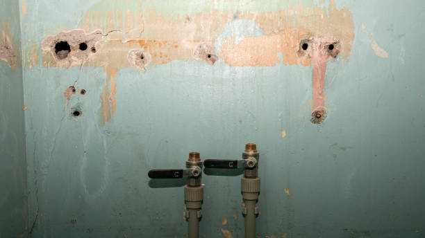 Best Sewage cleanup and water damage restoration  in Paonia, CO