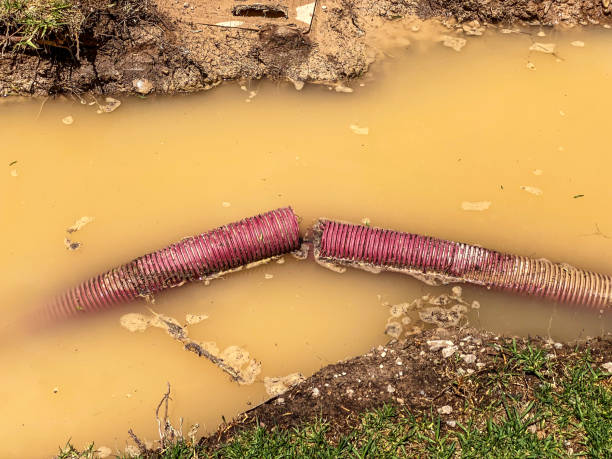 Best Flood damage cleanup  in Paonia, CO